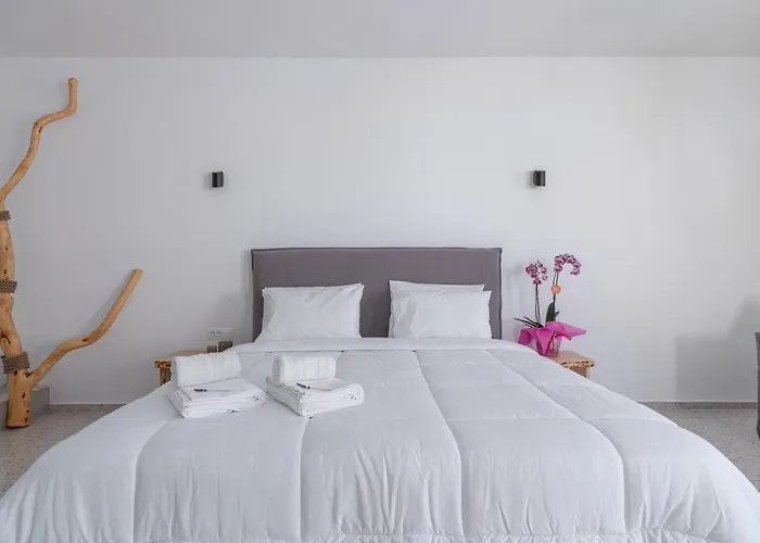 Sonia Διαμέρισμα Mykonos Town